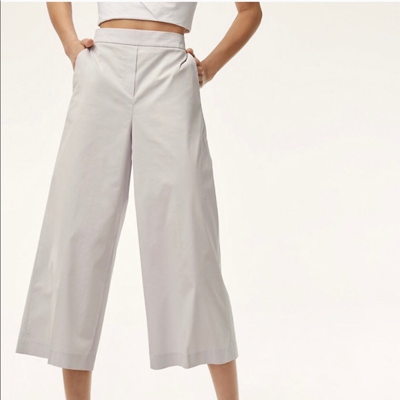 Aritzia Pants - Aritzia Babaton Manila Wide Leg Pants